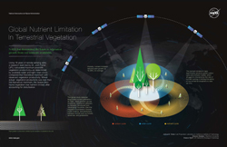 NASA has determined the limits to the growth of vegetation around the world based upon the availability of nutrients in vegetation soils. The nutrient limitation maps significantly advance global carbon cycle and climate models. Image credit: NASA/JPL-Caltech