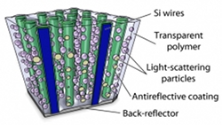 This is a schematic diagram of the light-trapping elements used to optimize absorption within a polymer-embedded silicon wire array.