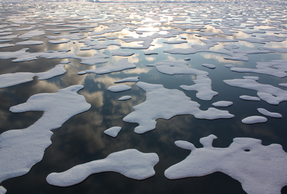 ICESCAPE, or Impacts of Climate on EcoSystems and Chemistry of the Arctic Pacific Environment, is a shipborne NASA mission to explore the impacts of climate change in the Arctic Ocean. During summer of 2011, the ICESCAPE scientists discovered a large bloom of ocean plant life growing under sea ice.