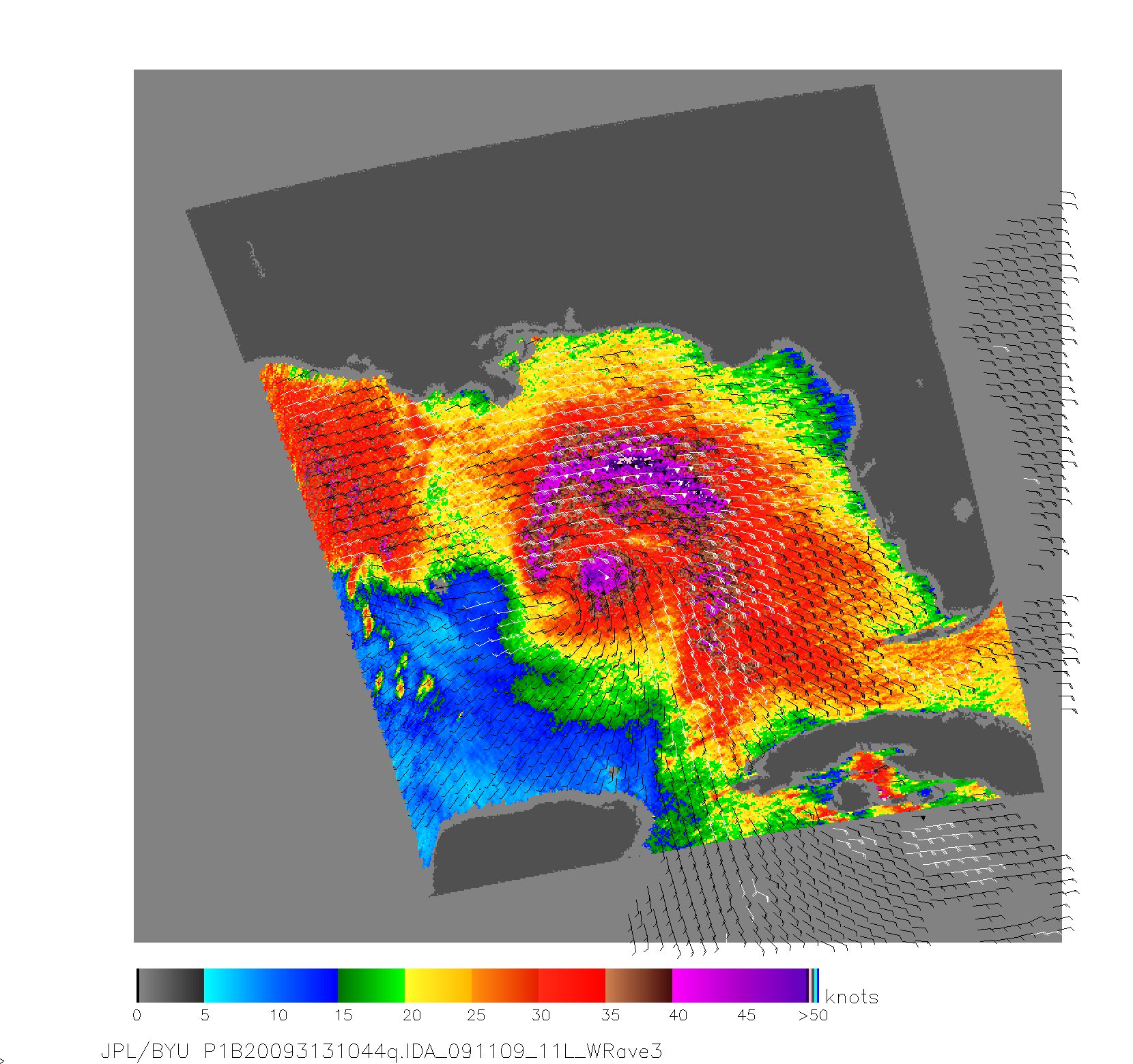 Tropical storm Ida, as captured by NASA's Quikscat satellite this morning.