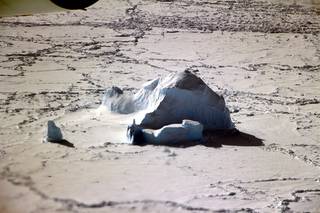 Iceberg surrounded by sea ice