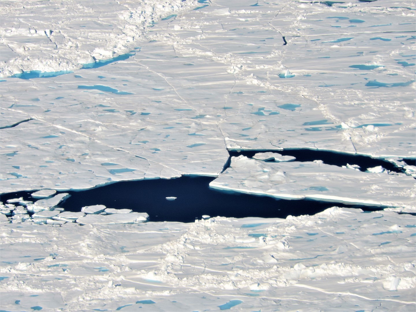 Sea ice floes with melt ponds in the Arctic Ocean north of Ellesmere Island, Canada. 