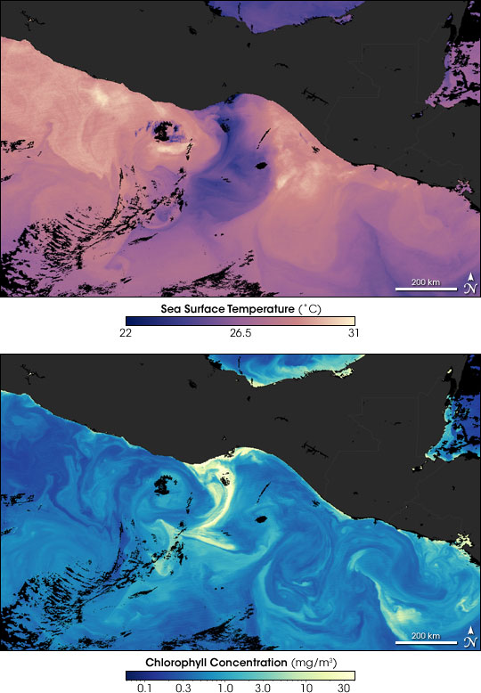 Temperature and chlorophyll data show concentrations around Tehuantepec, Mexico.