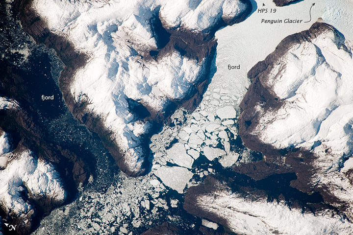 Glacier Outlet, Southern Patagonian Icefield, Chile