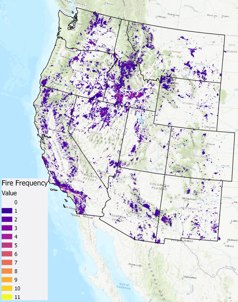 repeated fire activity