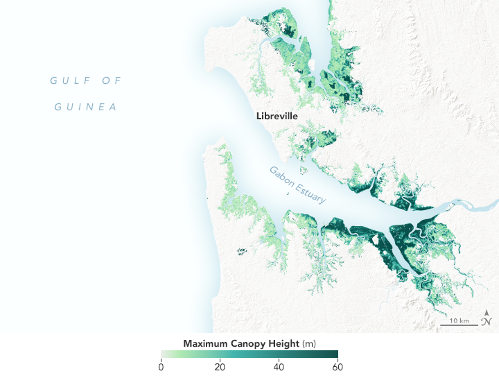 Average tree height around Gabon Estuary in Africa