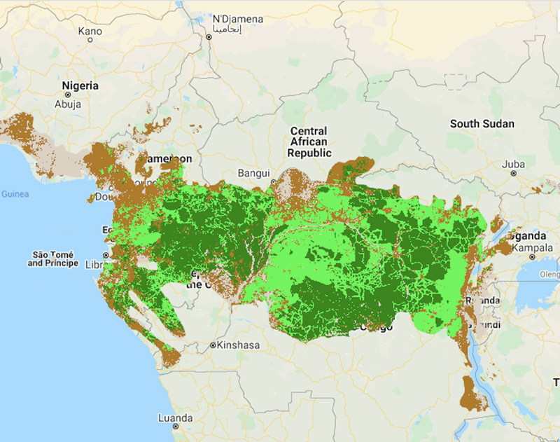 Image showing a map of tree height in Congo