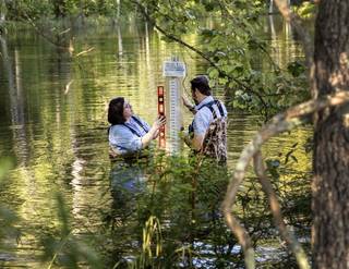 Citizen Science