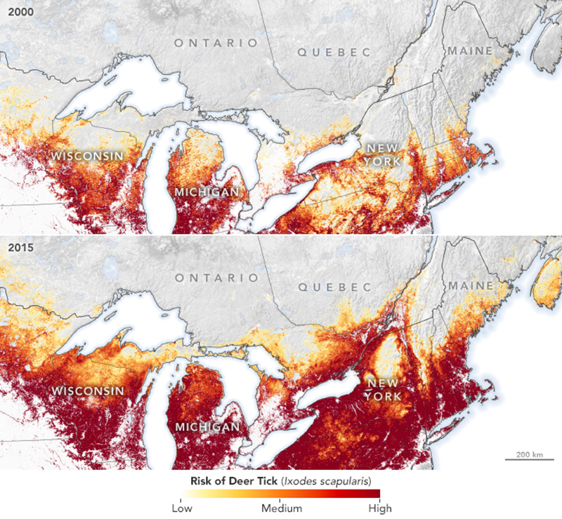 Maps_of_the_average_risk_of_encountering_Lyme-disease_carrying_ticks_in_central_and_eastern_Canada