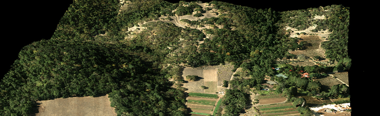 The landscape shown here is not a photograph but a 3-D visualization obtained using lidar and aerial imagery. Lidar is a remote sensing technique that can be used to digitally measure the heights and crown dimensions of trees, not just for a small sample but for every tree across a landscape. Credit: NASA/University of Maryland.