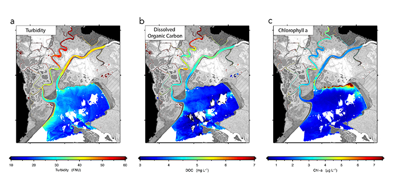 Maps of a) turbidity (water clarity), b) dissolved organic carbon and c) chlorophyll-a The USGS R/V Mary Landsteiner shown at a brief stop during a study in the Northern San Francisco estuary. Maps of a) turbidity (water clarity), b) dissolved organic carbon and c) chlorophyll-a in the San Francisco Bay-Delta Estuary's Grizzly Bay and Suisun Marsh in April 2014, derived from remote-sensing reflectance data from NASA's airborne Portable Remote Imaging Spectrometer (PRISM) instrument. Image credit: NASA/JPL-Caltech.