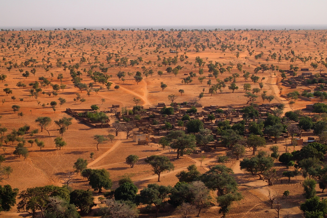 Map of northern Africa. A highlighted band across the top indicates carbon levels contained in trees