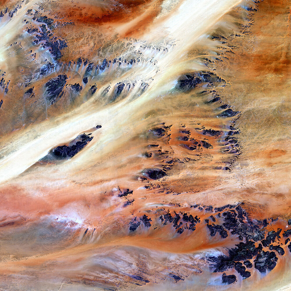 Terkezi Oasis