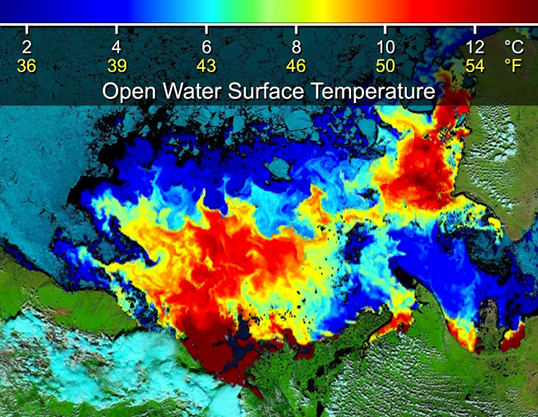 Beaufort Sea surface temperatures where Canada's Mackenzie River discharges into the Arctic Ocean, measured by NASA's MODIS instrument. The top image is from June 14, 2012. In the bottom image (July 5, 2012), warm river waters had broken through a shoreline sea ice barrier to enhance sea ice melt. Image Credit: NASA