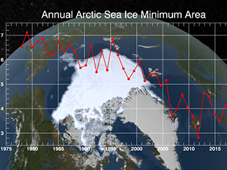 Sea Ice